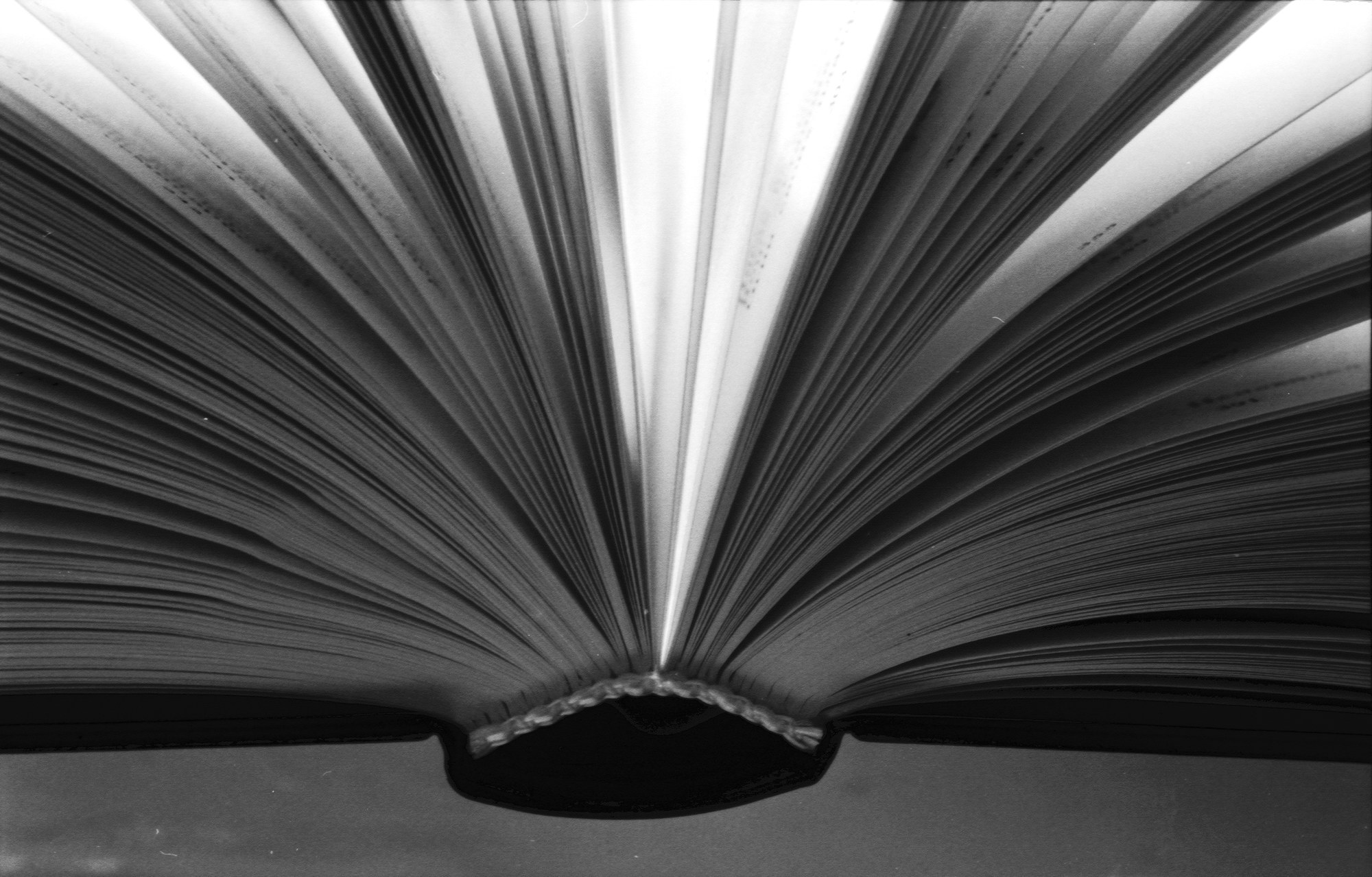 The Book